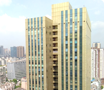 公司环境